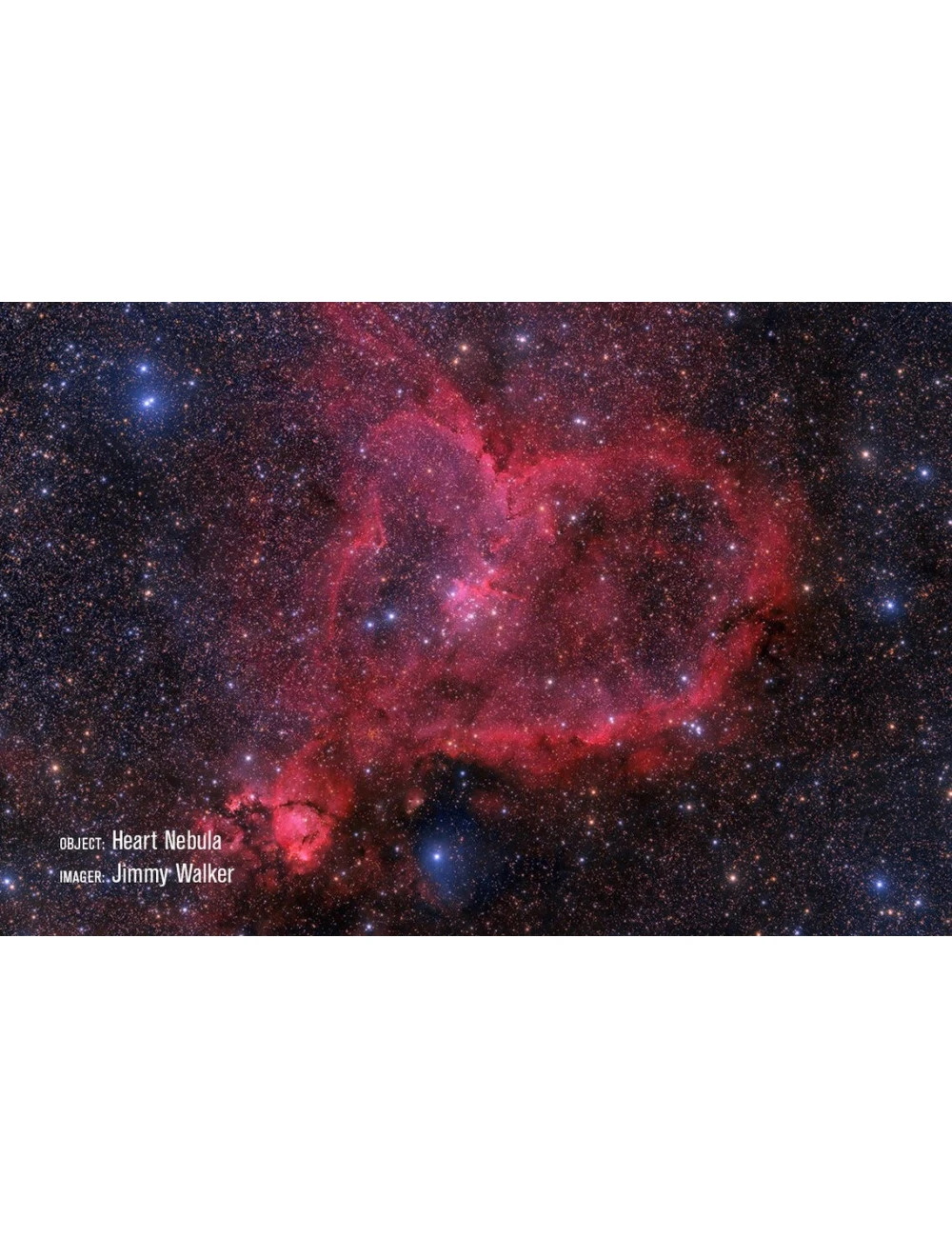 Télescope Rowe-Ackermann 11" (RASA 11) Celestron V2 12 Télescope Rowe-Ackermann 11" (RASA 11) Celestron V2 – Image 12