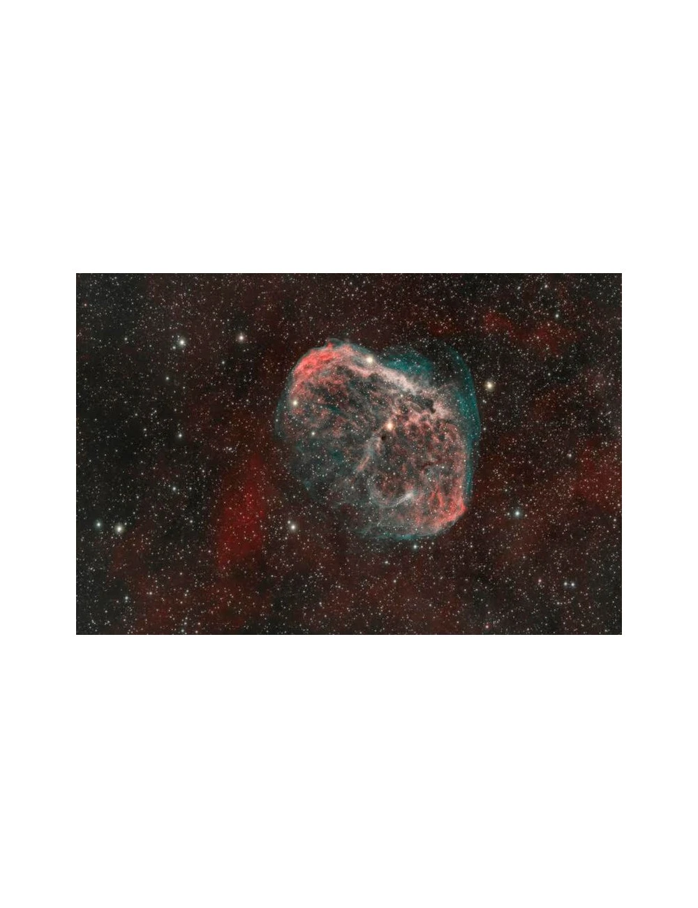 Télescope Rowe-Ackermann 11" (RASA 11) Celestron V2 13 Télescope Rowe-Ackermann 11" (RASA 11) Celestron V2 – Image 13