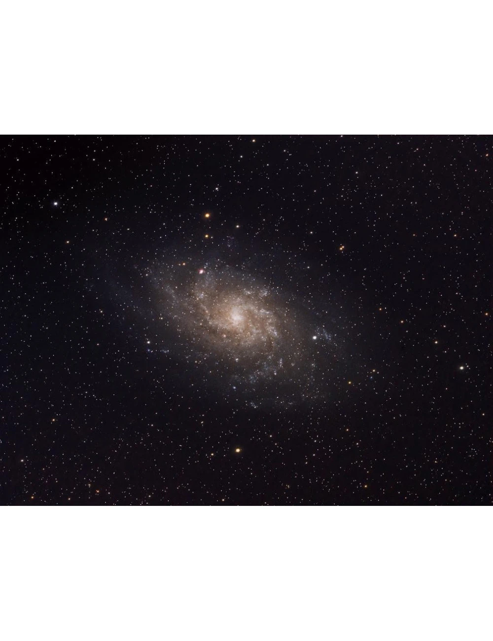 Télescope Rowe-Ackermann 11" (RASA 11) Celestron V2 7 Télescope Rowe-Ackermann 11" (RASA 11) Celestron V2 – Image 7